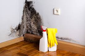 Best Biohazard Mold Removal  in Tokeneke, CT